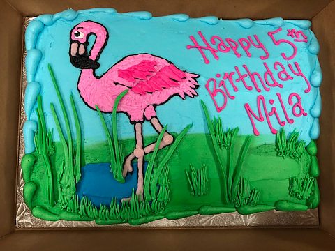 birthday - flamingo