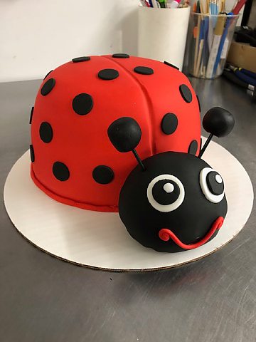 birthday - ladybug 3D