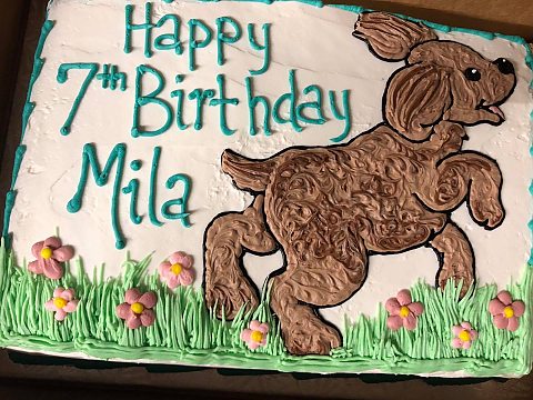birthday - Puppy